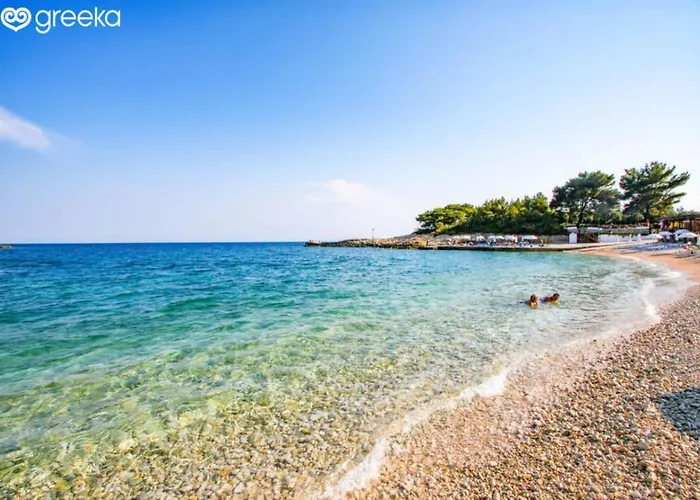 Dina's Flowers Alonissos - Ariadni Summer Getaway Διαμέρισμα *