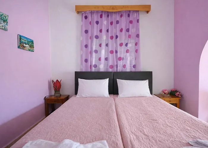 Dina's Flowers Alonissos - Ariadni Summer Getaway Πατητήρι